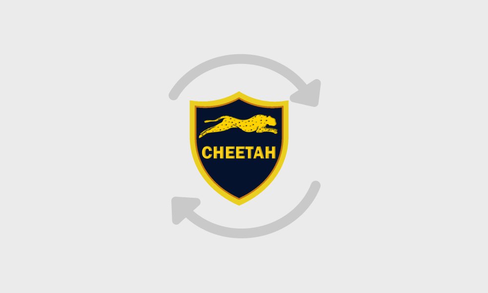 Cheetah Tool Pro Version V2025.20.07.155.0 is out! - GsmServer